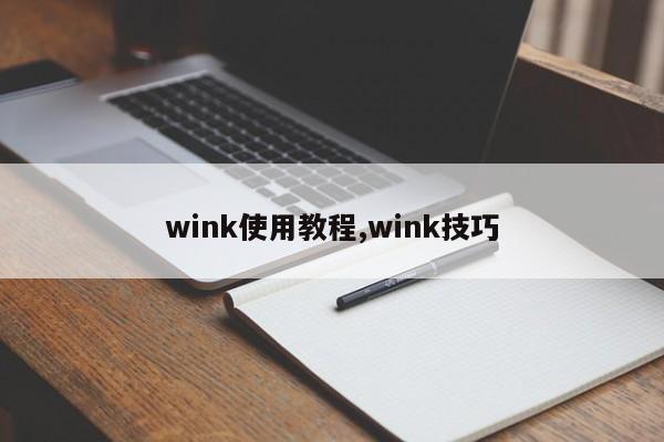 wink使用教程,wink技巧